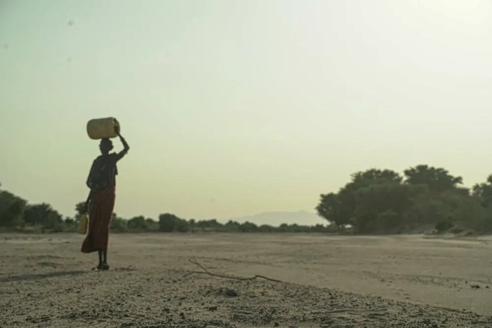 Illeret malnutrition Response