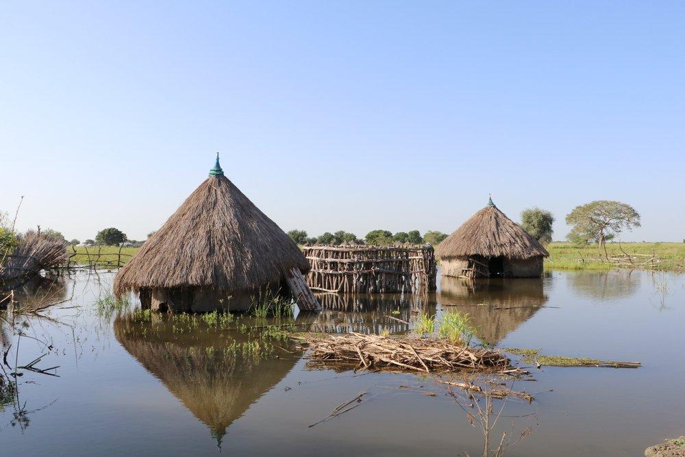 Responding to Severe Flooding in Old Fangak - South Sudan