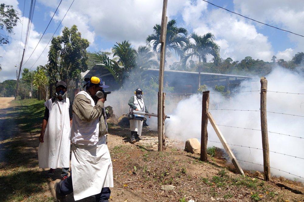 Honduras: MSF responds to new epidemic of dengue fever