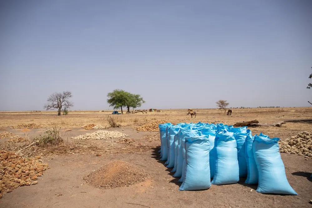 MSF Response Measles Vaccination (Am Timan District)