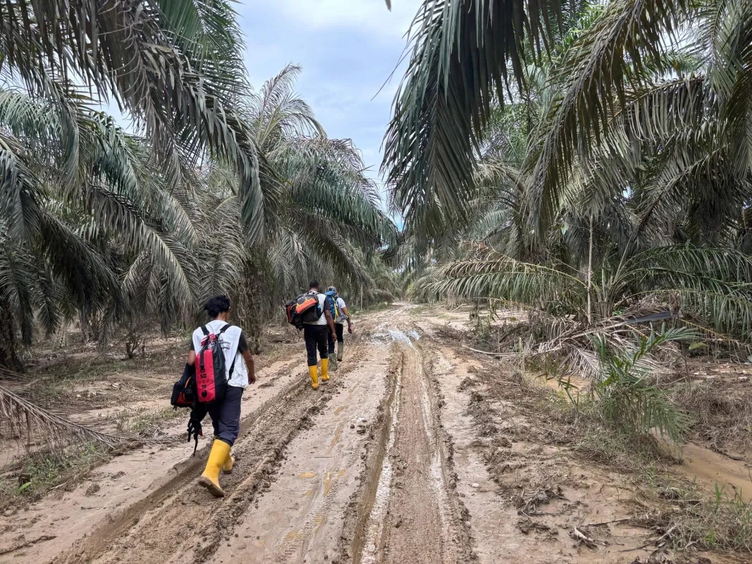 Responding to the devastating flooding in Aceh: Challenges of mud and health recovery
