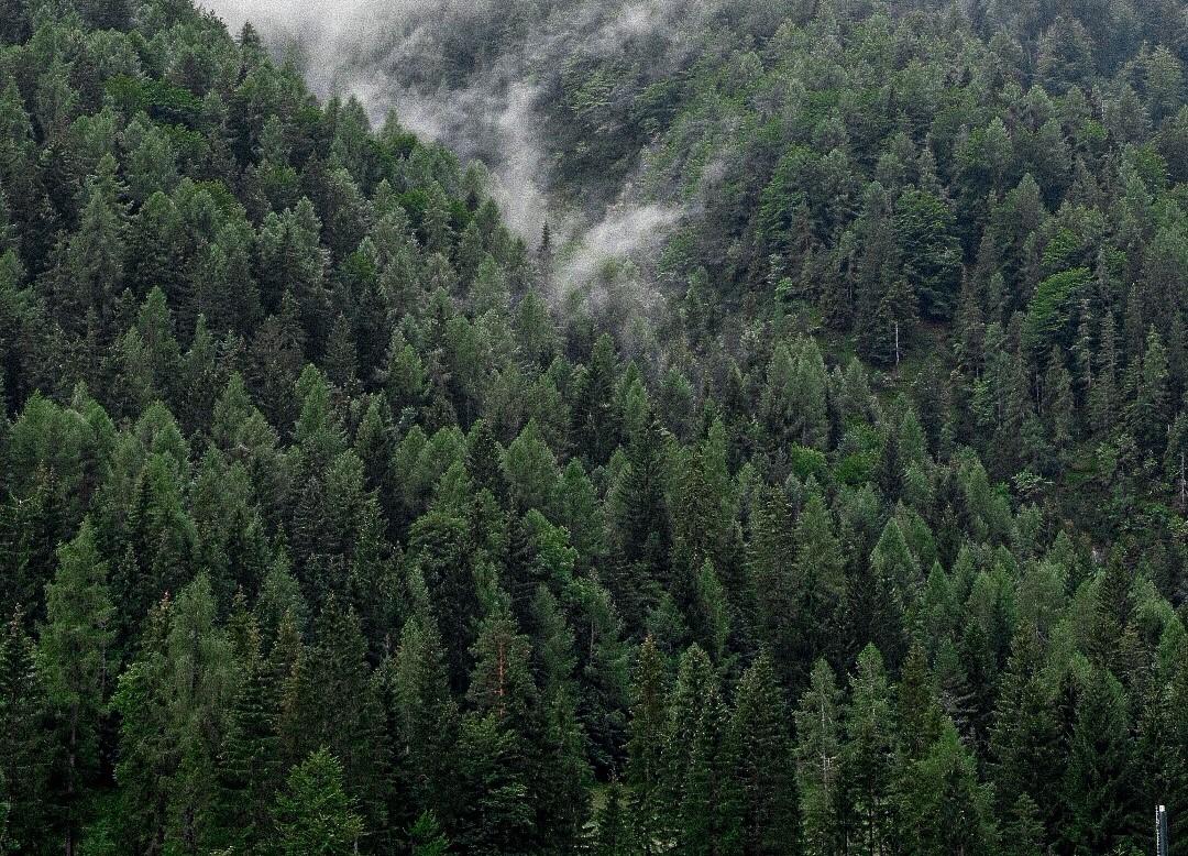 Foto: Erbschaft und Pflichtteil in Österreich