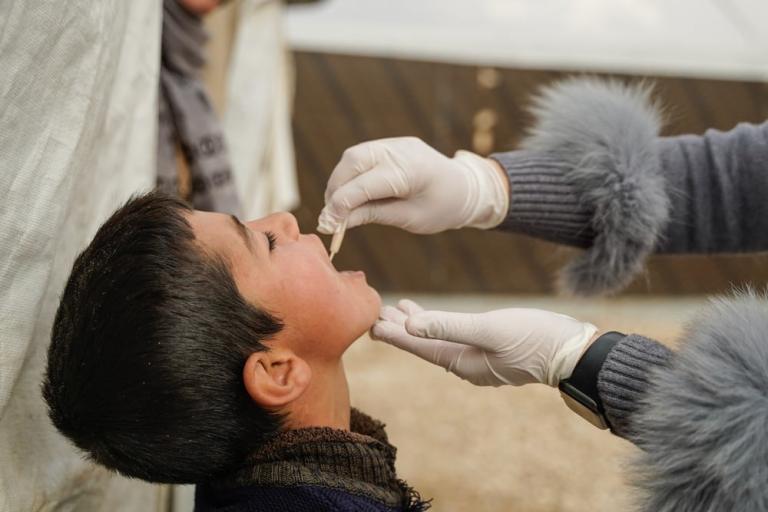 Cholera vaccination campaign in Lebanon