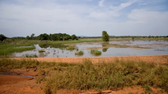 Mali 2007