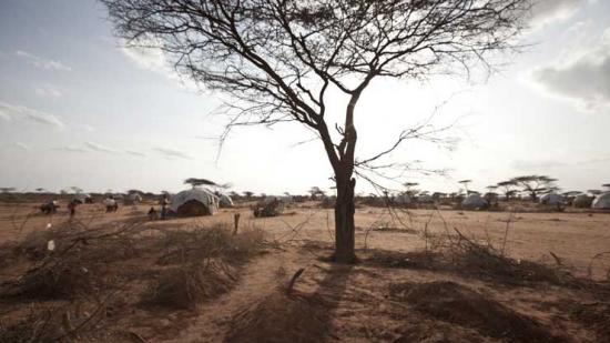 Dadaab, Kenia 2011