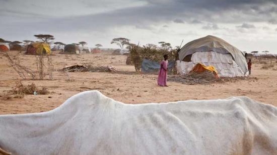 Dadaab, Kenia 2011