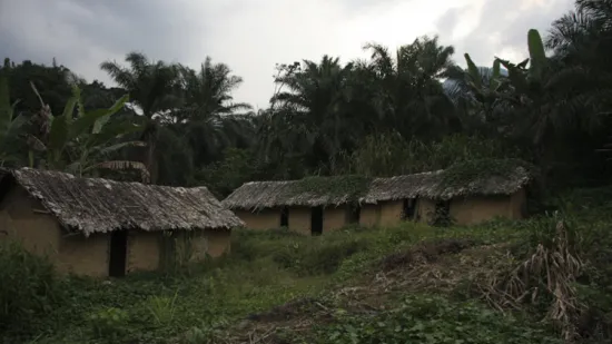 6_Demokratische Republik Kongo 2011