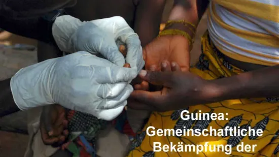 Guinea 2011