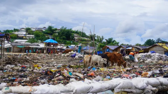 Three Rohingya photographers tell us about their daily lives in exile in 20 images