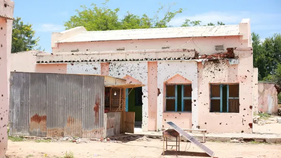 Nyala Teaching Hospital, Destruction