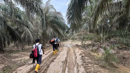 Responding to the devastating flooding in Aceh: Challenges of mud and health recovery