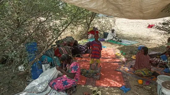 Cameroon: Displaced from Rann, Nigeria
