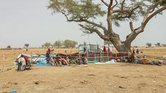 Cameroon: Displaced from Rann, Nigeria
