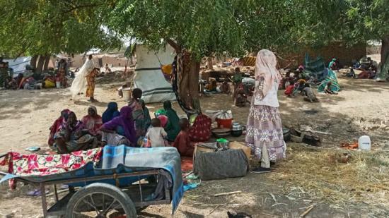 Cameroon: Displaced from Rann, Nigeria