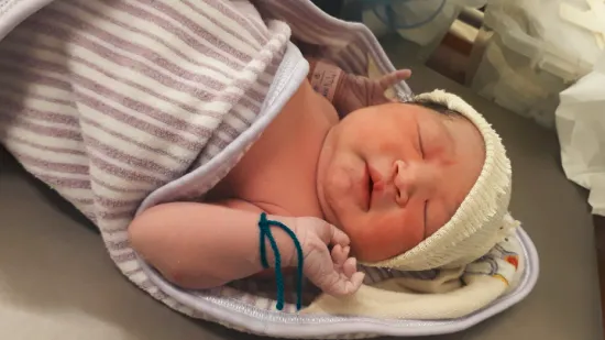 Fotostory: Unsere ersten Babys 2018!