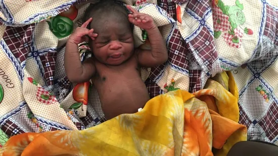 Unsere Neujahrsbabys 2020