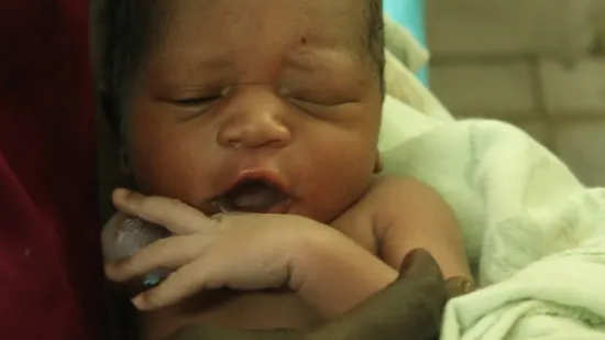 Unsere Neujahrsbabys 2020