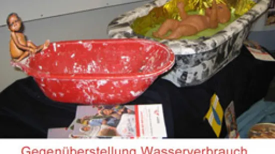 hbla_neumarkt_am_wallersee_2006_2007_4.jpg