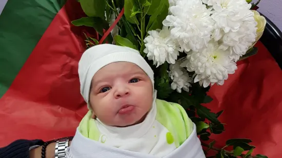 Fotostory: Unsere ersten Babys 2018!