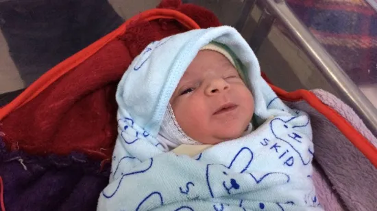 Fotostory: Unsere ersten Babys 2018!