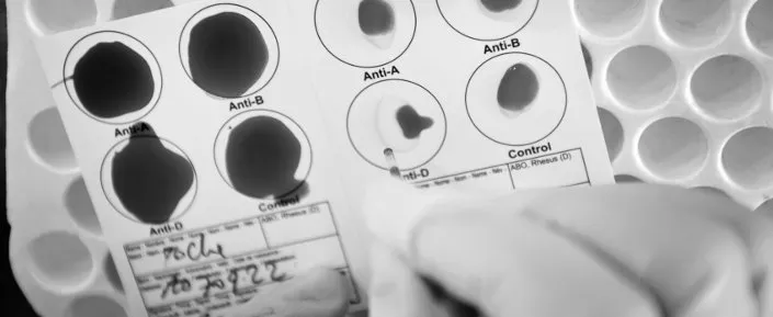 Demokratische Republik Kongo 2012