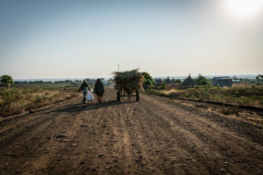 MSF | Amhara Region