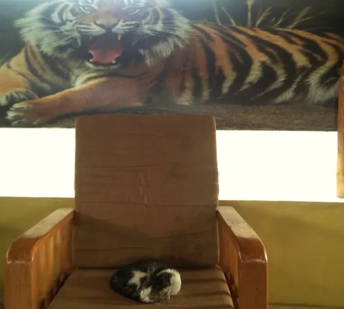 MSF_DeutschAnna_SouthSudan_1