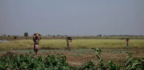 Wagner_Ursula_04_Ernte_2014