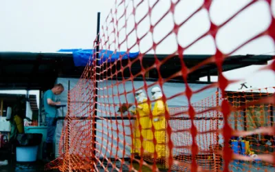 Die Abzäunung des Isolationsbereiches im Ebola-Behandlungszentrum von Ärzte ohne Grenzen in Monrovia.