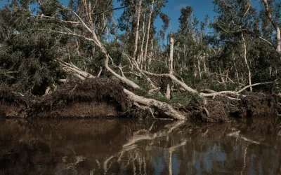 Road from Mahanoro to Nosy Varika