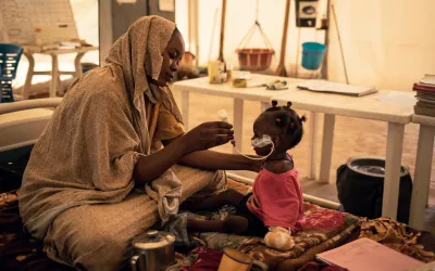 Eastern Chad: Refugees, host Communities and a humanitarian response under strain