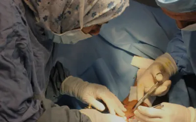 MSB3312 Diala Ghassan web