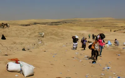 MSB54 Diala Ghassan MSF web