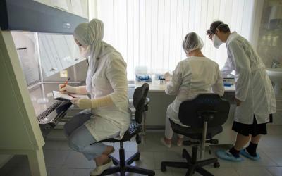 TB treatments yield promising results in the Chechen Republic