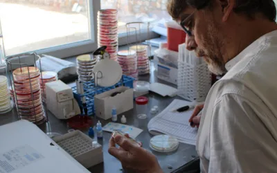 Mikrobiologe Olivier Courteille untersucht Proben für eine Studie von Ärzte ohne Grenzen über Antibiotikaresistenz in Lashkar Gah, Helmand.