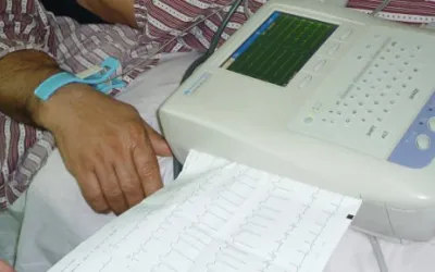 Russische Föderation/Tschetschenien 2011