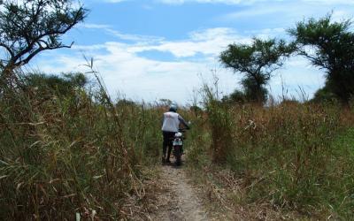 MSF treats spiking malaria in South Sudan with the help of local communities