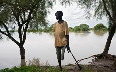 Schlangenbisse: Ärzte ohne Grenzen warnt vor Anstieg der Todesfälle