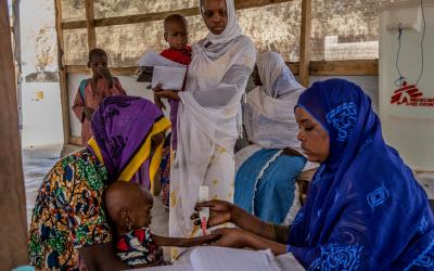 Humanitarian crisis in Diffa, Niger