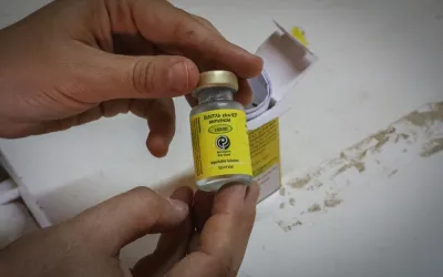 The EchiTAb plus-ICP antivenom