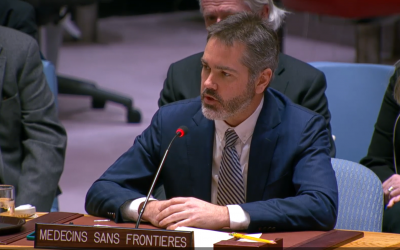 C. Lockyear at UN Security Council