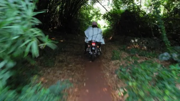 DRC 2012