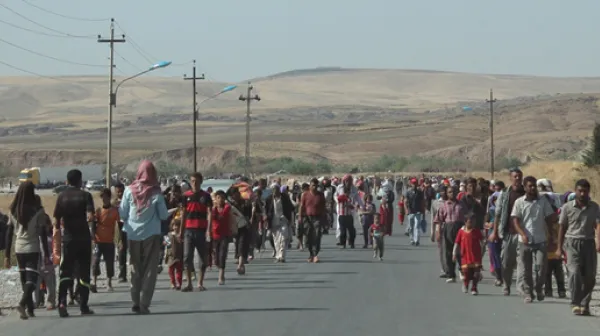 Flüchtlinge von Sindschar marschieren über die syrische Grenze in den Irak.
