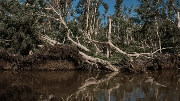 Road from Mahanoro to Nosy Varika