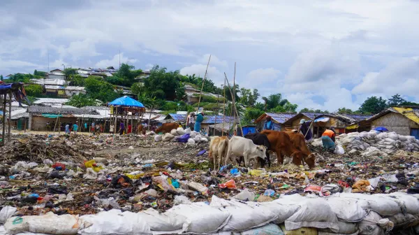 Three Rohingya photographers tell us about their daily lives in exile in 20 images