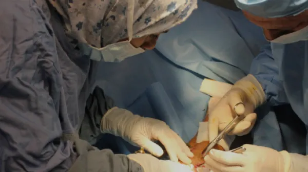 MSB3312 Diala Ghassan web