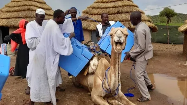 Urgent measles vaccination and treatment campaign in Jebel Marra, South Darfur
