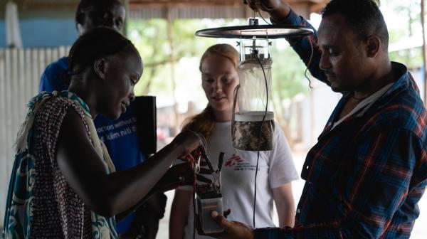 Catching Mosquitoes to Fight Malaria