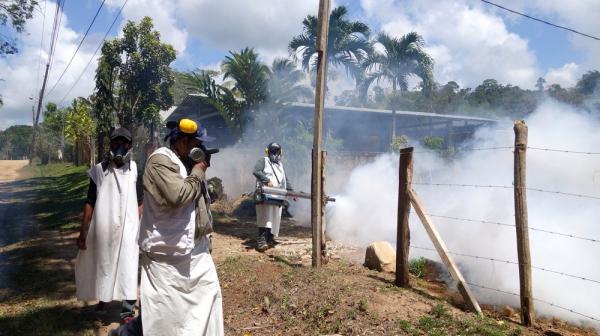 Honduras: MSF responds to new epidemic of dengue fever