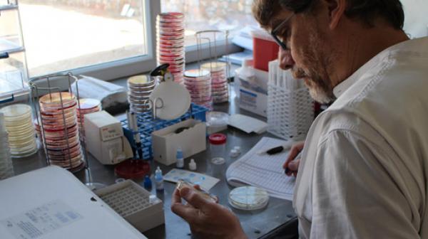 Mikrobiologe Olivier Courteille untersucht Proben für eine Studie von Ärzte ohne Grenzen über Antibiotikaresistenz in Lashkar Gah, Helmand.